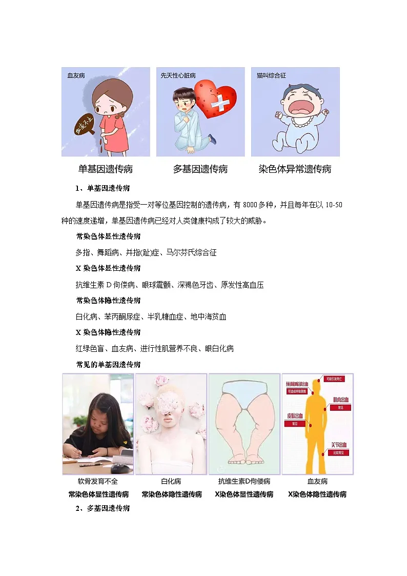 人教版2025高中生物必修二5.3人类遗传病 教案第2页