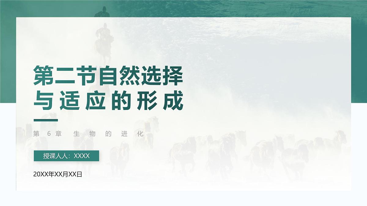 人教版2025高中生物必修二6.2自然选择与适应的形成 课件第1页