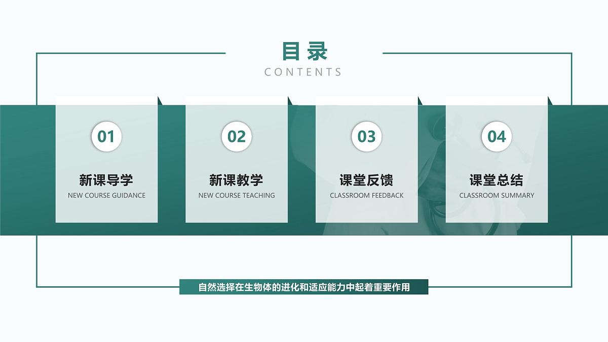 人教版2025高中生物必修二6.2自然选择与适应的形成 课件第2页