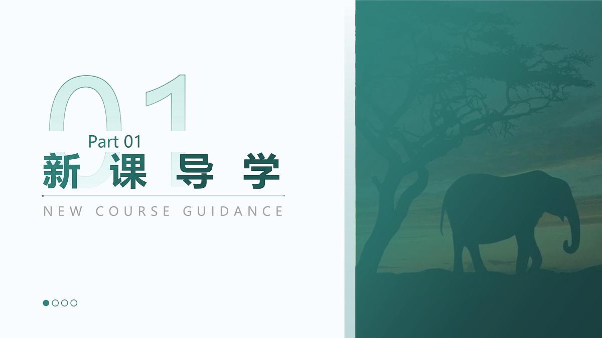 人教版2025高中生物必修二6.2自然选择与适应的形成 课件第3页