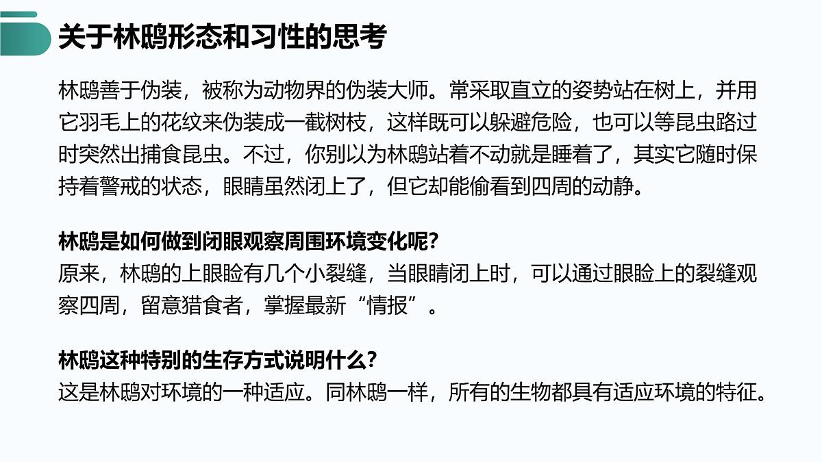 人教版2025高中生物必修二6.2自然选择与适应的形成 课件第5页