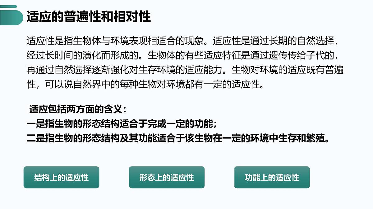 人教版2025高中生物必修二6.2自然选择与适应的形成 课件第7页