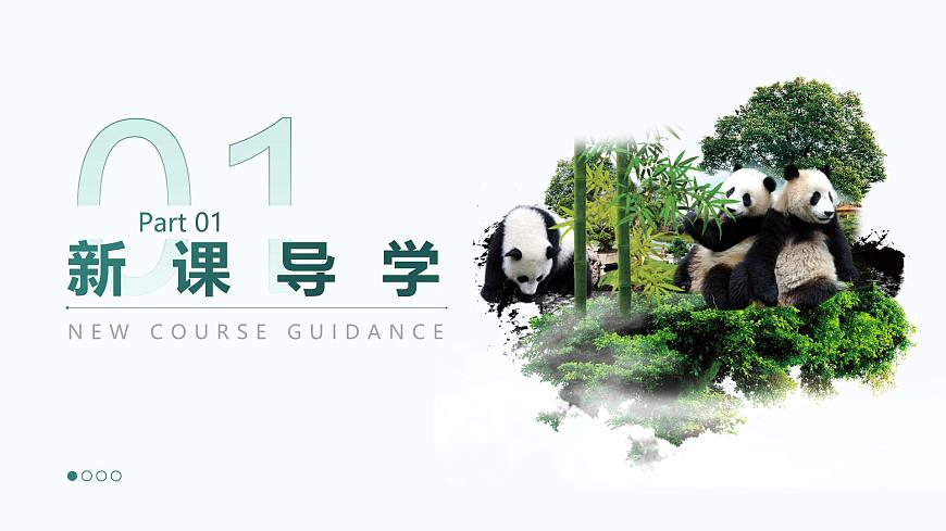 人教版2025高中生物必修二6.3种群基因组成的变化与物种的形成(二) 课件第3页