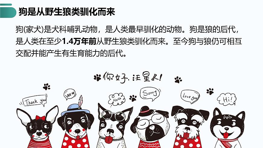 人教版2025高中生物必修二6.3种群基因组成的变化与物种的形成(二) 课件第5页