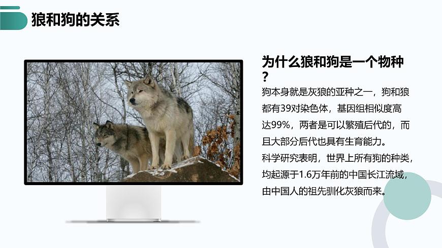 人教版2025高中生物必修二6.3种群基因组成的变化与物种的形成(二) 课件第8页