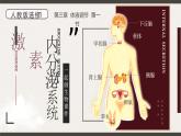 人教版2025高中生物选择性必修一3.1激素与内分泌系统课件