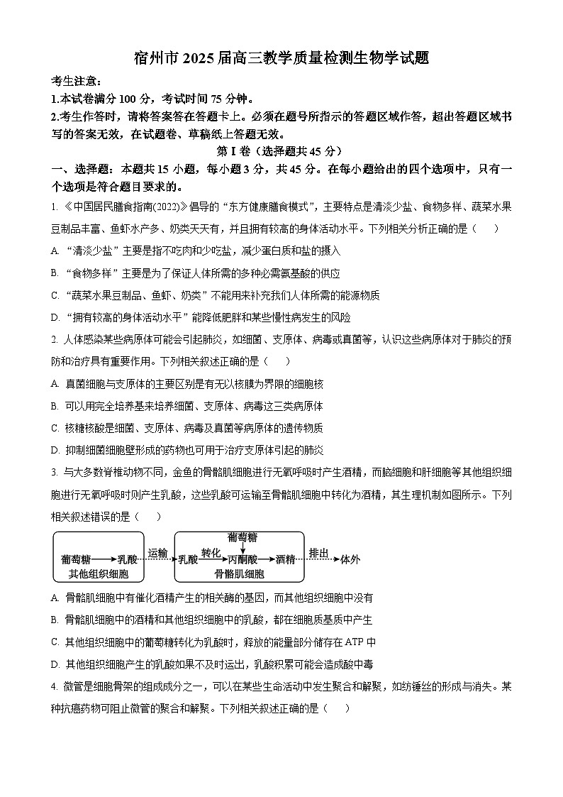 安徽省宿州市2024-2025学年高三上学期期末教学质量检测生物试卷  Word版无答案第1页