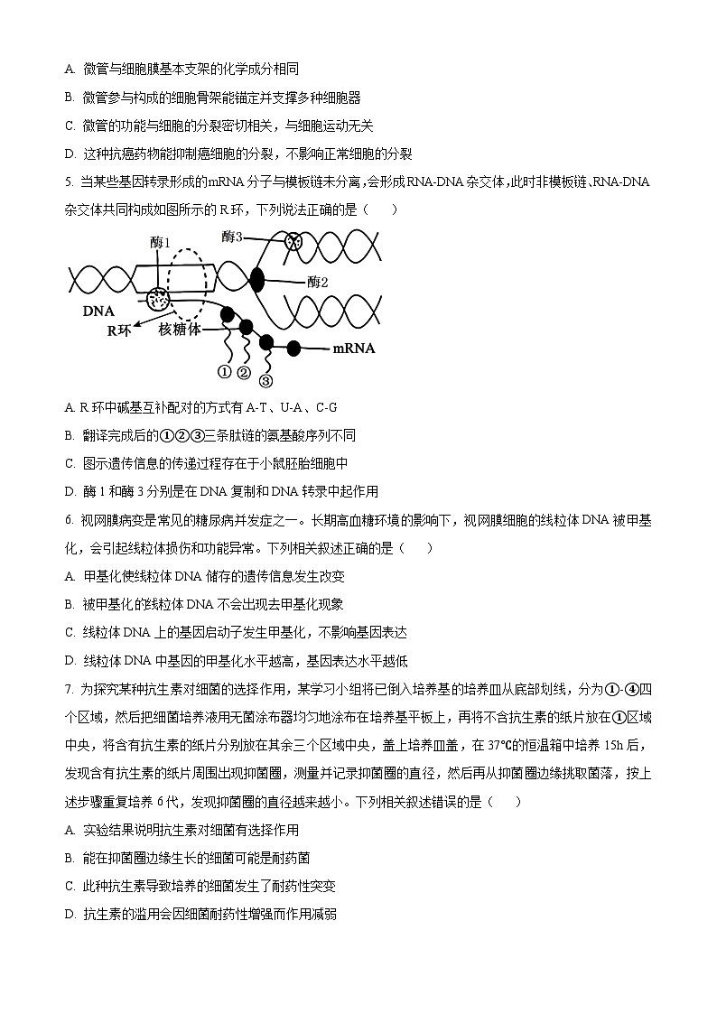 安徽省宿州市2024-2025学年高三上学期期末教学质量检测生物试卷  Word版无答案第2页