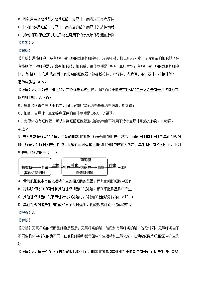 安徽省宿州市2024-2025学年高三上学期期末教学质量检测生物试卷  Word版含解析第2页