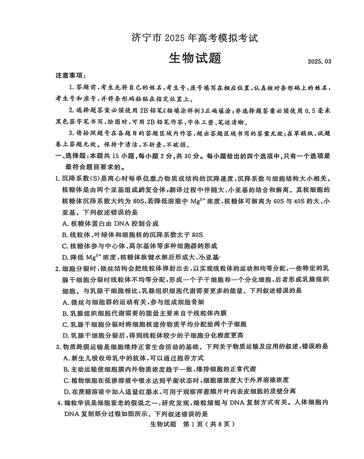 2025届山东省济宁市高三一模 生物试题及答案第1页