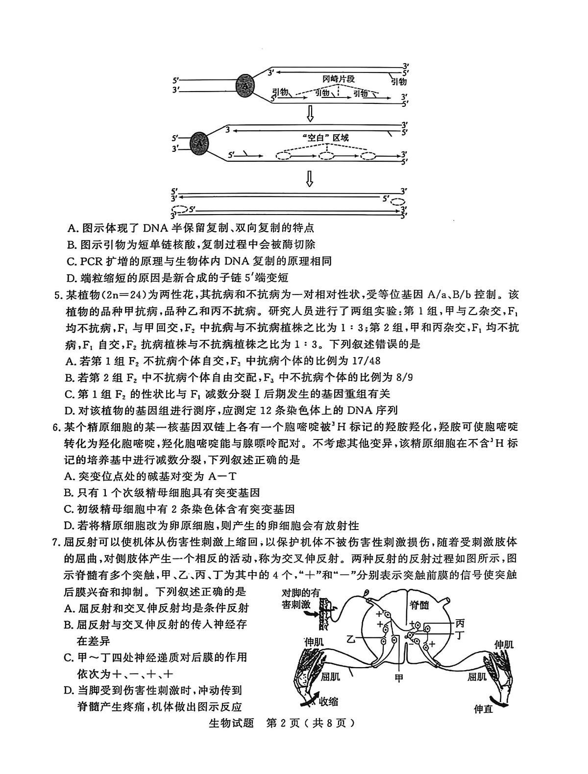 2025届山东省济宁市高三一模 生物试题及答案第2页