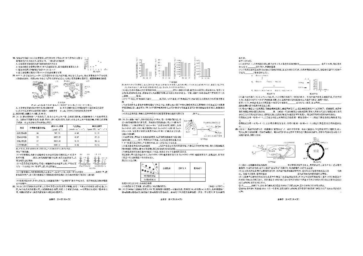2025东北三省精准教学联盟高三下学期3月联考试题生物PDF版含解析第2页