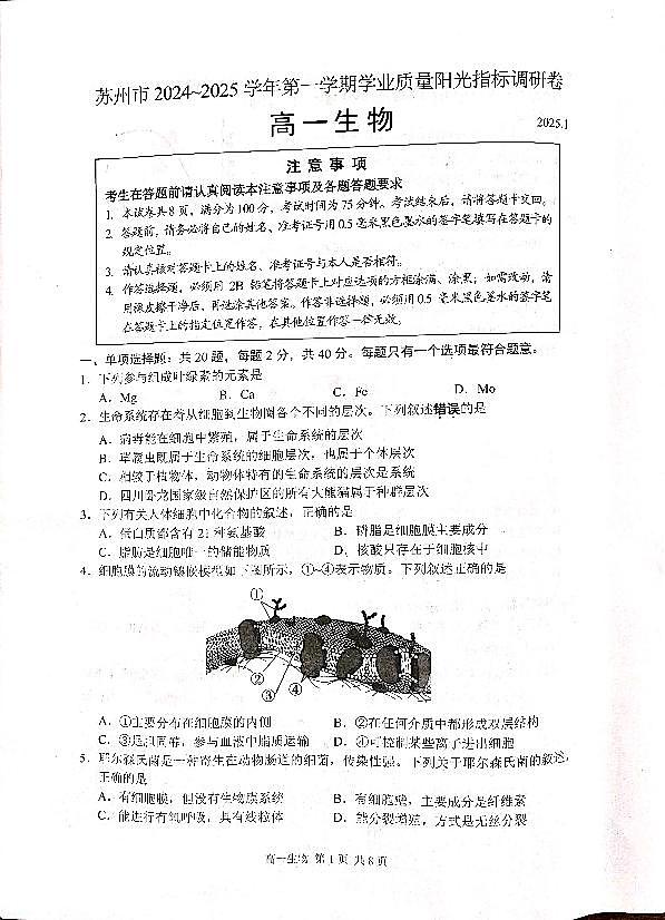 2025苏州高一上学期1月期末考试生物PDF版无答案第1页