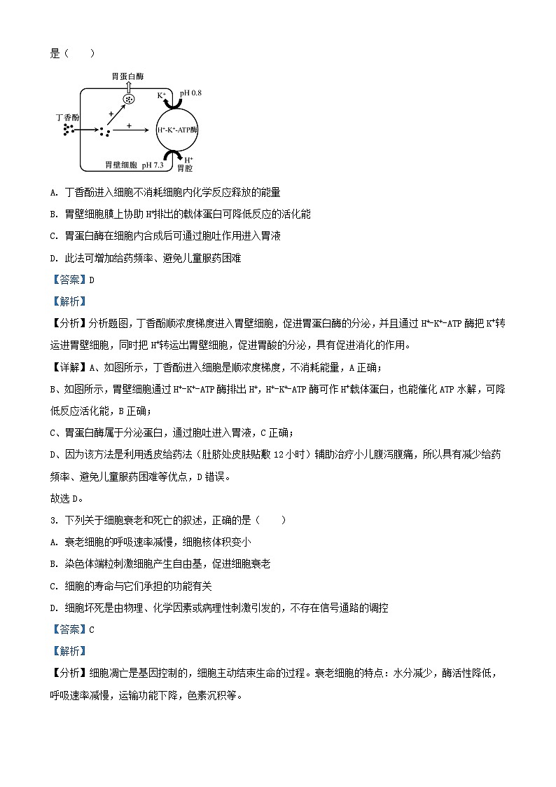 江苏省2023_2024学年高三生物下学期2月大联考试题含解析第2页