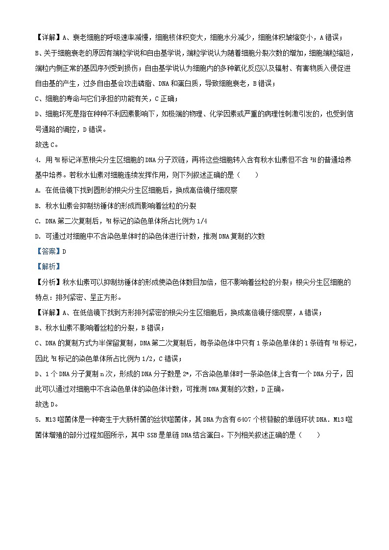 江苏省2023_2024学年高三生物下学期2月大联考试题含解析第3页