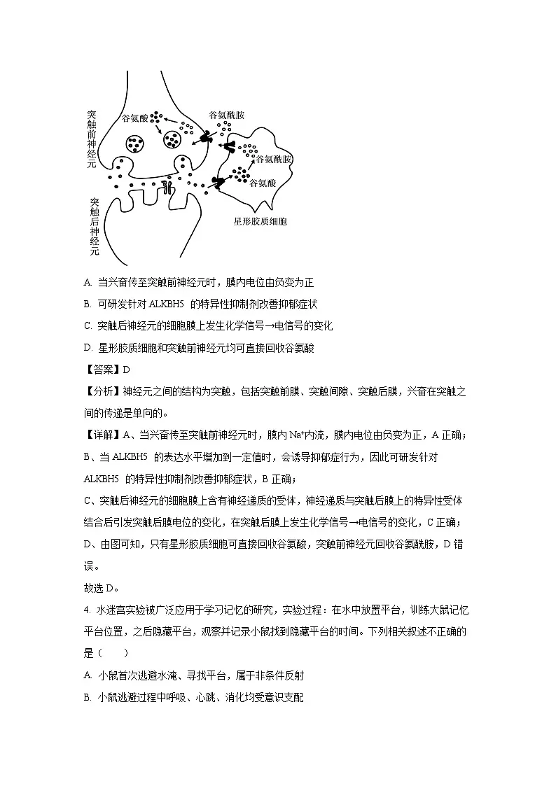 2024-2025学年北京市朝阳区高二上学期1月期末质量检测生物试卷（解析版）第3页