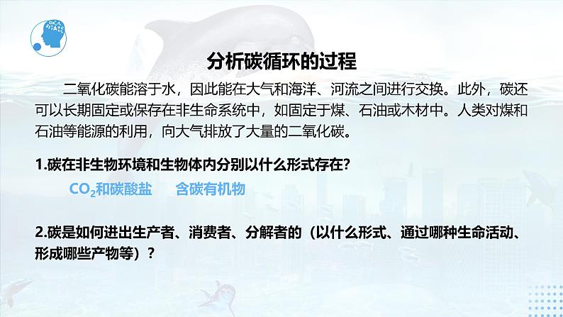 人教版2025高中生物选择性必修二3.3 生态系统的物质循环 课件第6页