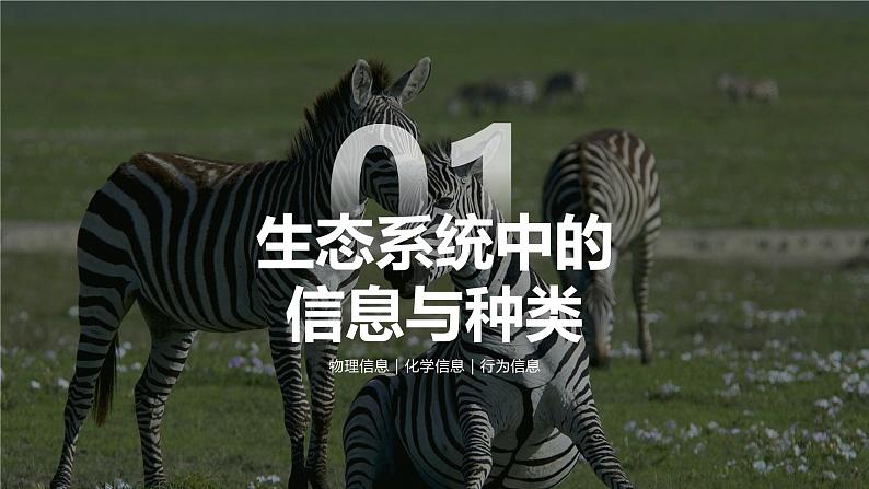 人教版2025高中生物选择性必修二3.4 生态系统的信息传递 课件第6页