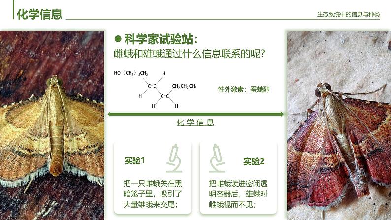 人教版2025高中生物选择性必修二3.4 生态系统的信息传递 课件第8页