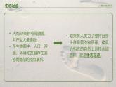 人教版2025高中生物选择性必修二4.1《人类活动对生态环境的影响》 课件