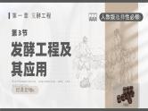 人教版2025高中生物选择性必修三1.3 发酵工程及其应用 课件