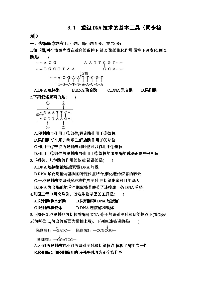 人教版2025高中生物选择性必修三3.1重组DNA技术的基本工具同步练习第1页