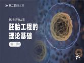 人教版2025高中生物選擇性必修三2.3.1胚胎工程的理論基礎(chǔ) 課件