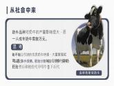 人教版2025高中生物選擇性必修三2.3.1胚胎工程的理論基礎(chǔ) 課件