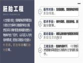 人教版2025高中生物選擇性必修三2.3.1胚胎工程的理論基礎(chǔ) 課件