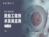 人教版2025高中生物選擇性必修三2.3.2 胚胎工程技術(shù)及其應(yīng)用 課件