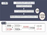 人教版2025高中生物選擇性必修三2.3.2 胚胎工程技術(shù)及其應(yīng)用 課件