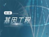 人教版2025高中生物选择性必修三3.1重组DNA技术的基本工具  课件