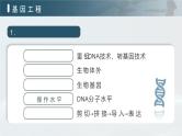 人教版2025高中生物选择性必修三3.1重组DNA技术的基本工具  课件