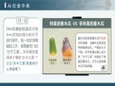 人教版2025高中生物選擇性必修三3.1重組DNA技術(shù)的基本工具  課件