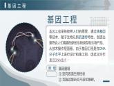 人教版2025高中生物選擇性必修三3.1重組DNA技術(shù)的基本工具  課件