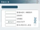 人教版2025高中生物選擇性必修三3.1重組DNA技術(shù)的基本工具  課件