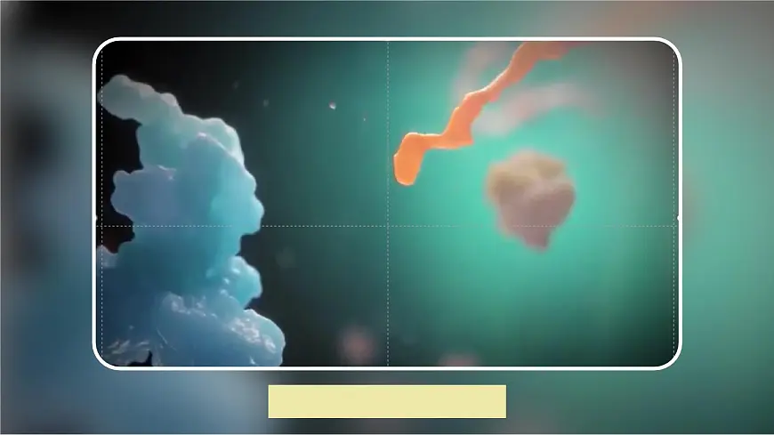 人教版2025高中生物选择性必修三3.2基因工程的基本操作程序（第一课时） 课件第7页