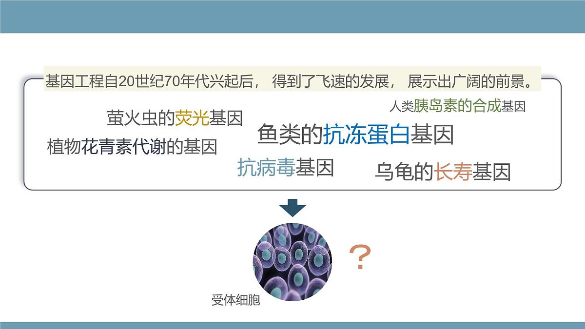 人教版2025高中生物选择性必修三3.3基因工程的应用 课件第3页