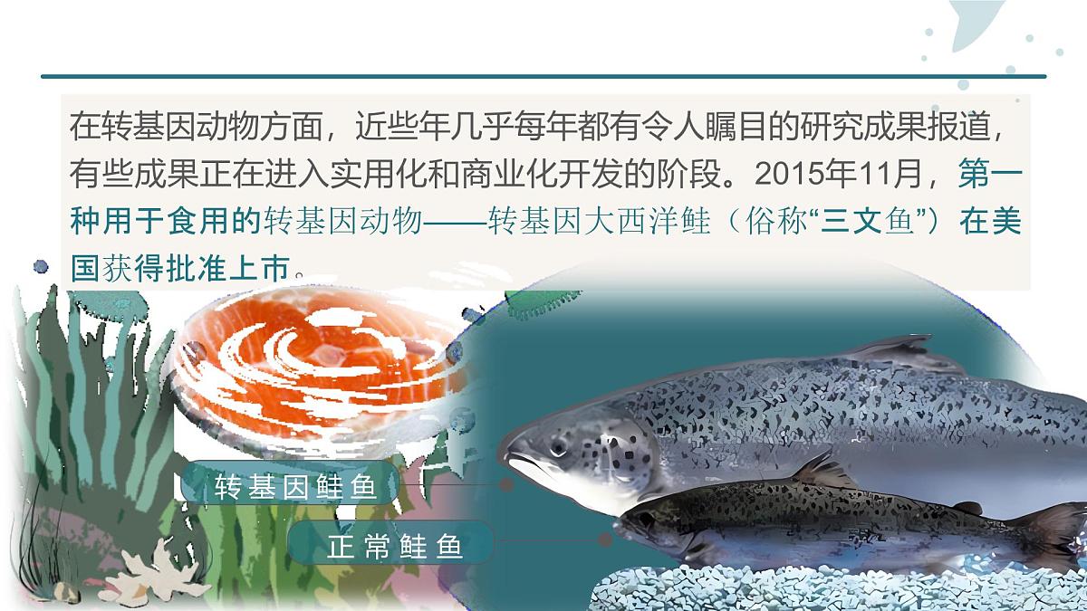 人教版2025高中生物选择性必修三3.3基因工程的应用 课件第8页