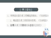 人教版2025高中生物选择性必修三3.4蛋白质工程的原理和应用 课件