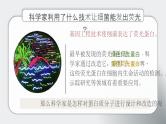 人教版2025高中生物选择性必修三3.4蛋白质工程的原理和应用 课件