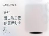 人教版2025高中生物選擇性必修三3.4蛋白質(zhì)工程的原理和應(yīng)用 課件