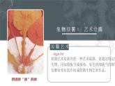 人教版2025高中生物選擇性必修三3.4蛋白質(zhì)工程的原理和應(yīng)用 課件