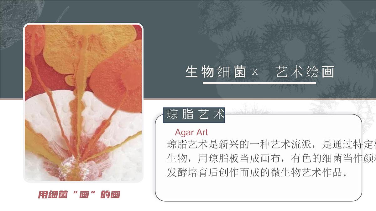 人教版2025高中生物选择性必修三3.4蛋白质工程的原理和应用 课件第3页