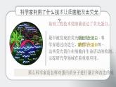 人教版2025高中生物選擇性必修三3.4蛋白質(zhì)工程的原理和應(yīng)用 課件