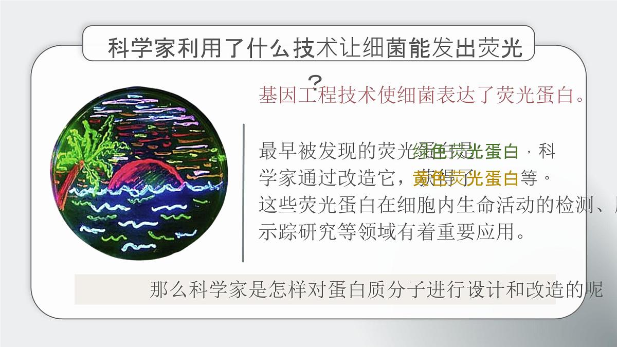 人教版2025高中生物选择性必修三3.4蛋白质工程的原理和应用 课件第4页