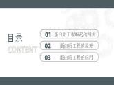 人教版2025高中生物選擇性必修三3.4蛋白質(zhì)工程的原理和應(yīng)用 課件