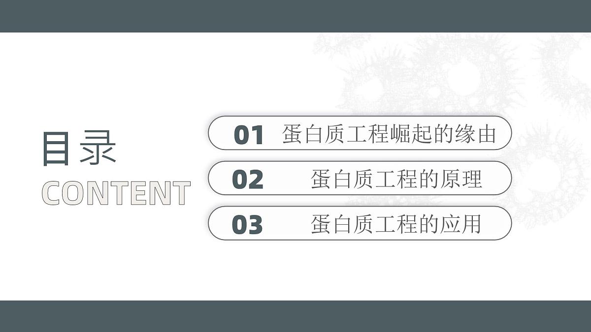人教版2025高中生物选择性必修三3.4蛋白质工程的原理和应用 课件第5页