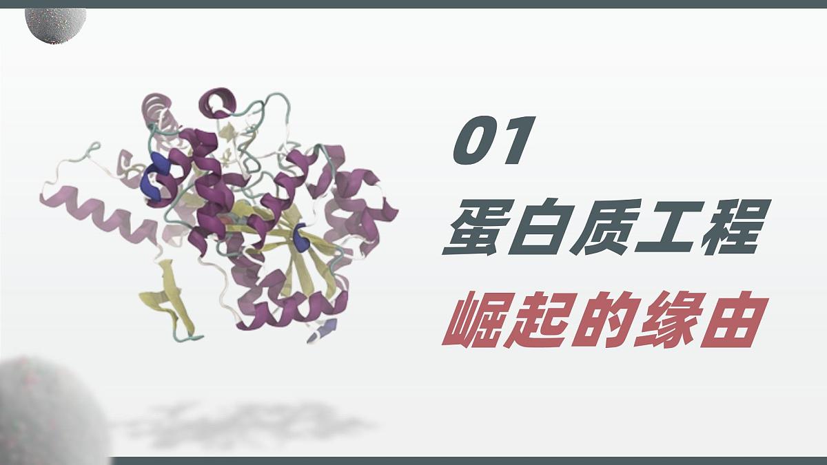 人教版2025高中生物选择性必修三3.4蛋白质工程的原理和应用 课件第6页