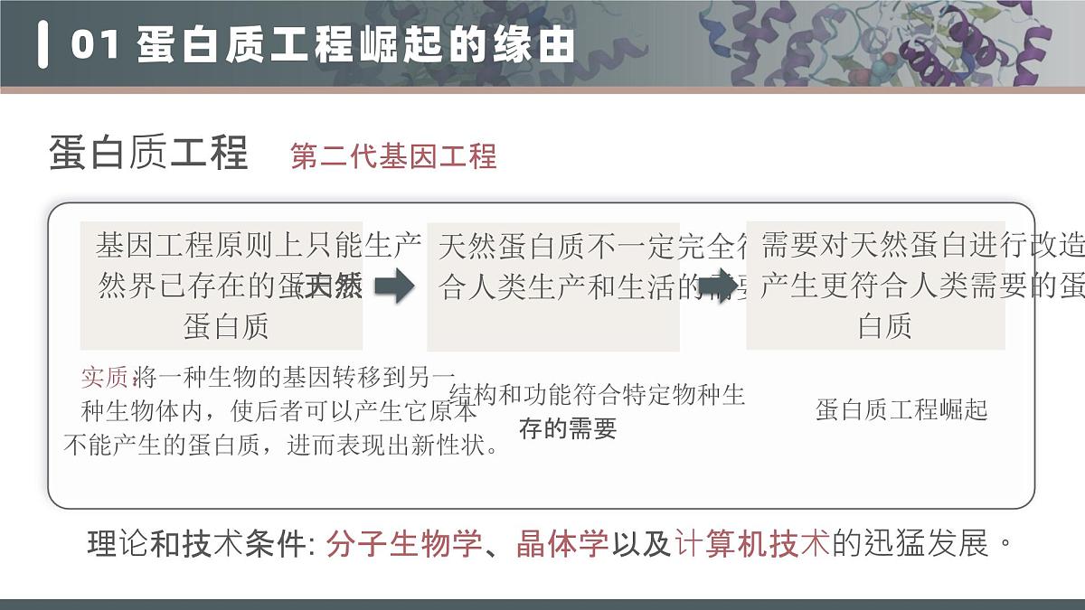 人教版2025高中生物选择性必修三3.4蛋白质工程的原理和应用 课件第7页